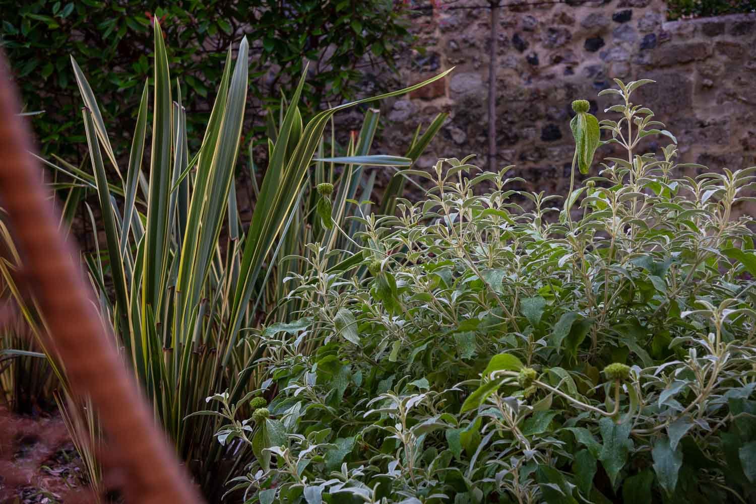 le jardin de la petite folie à Honfleur